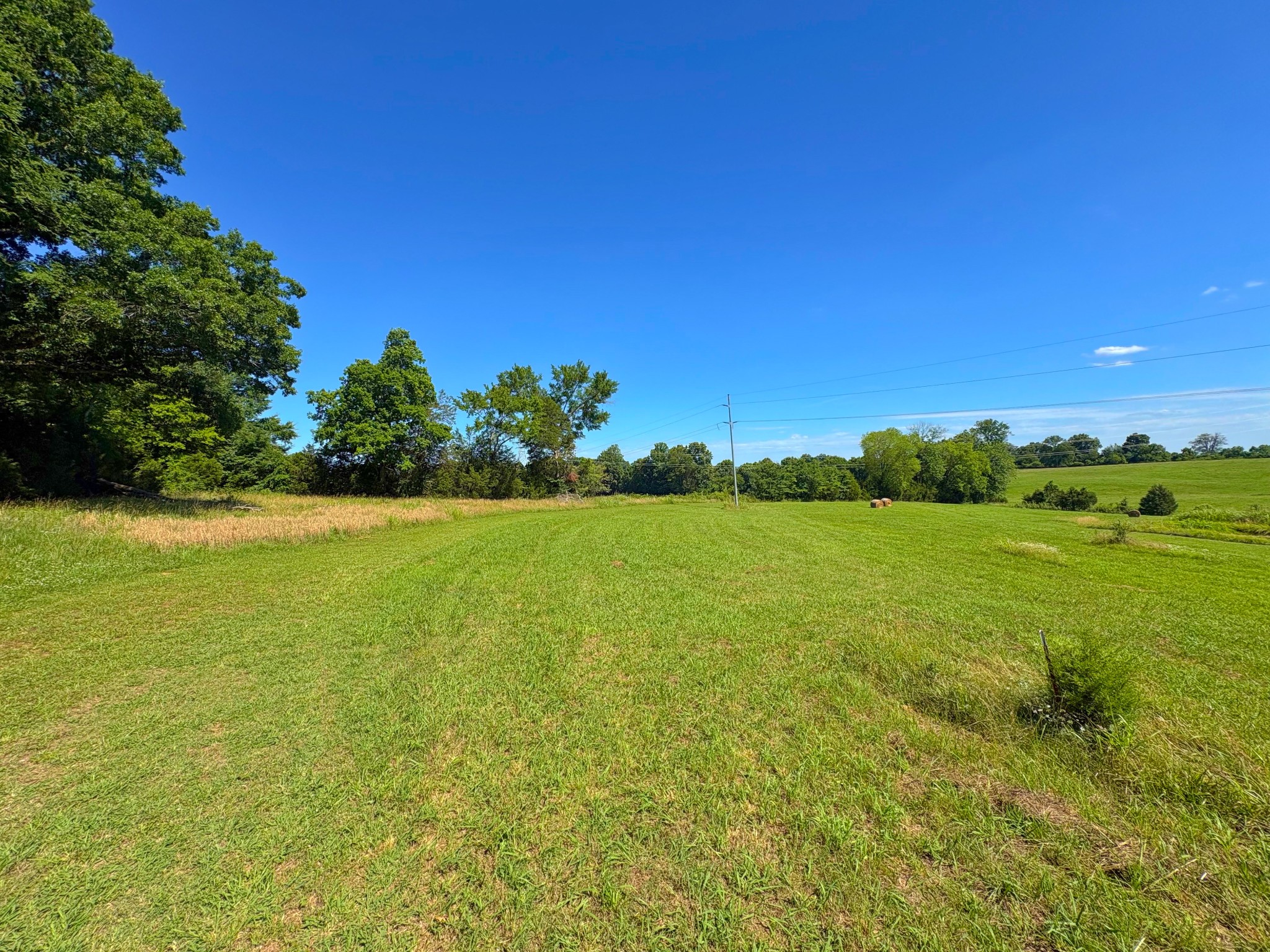 485 C Canoe Branch Road Castalian Springs, TN 37031 - Photo 3 of 13