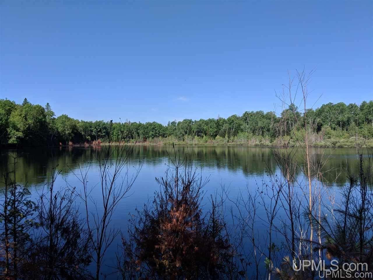 1356 Bates-Amasa Road Iron River, MI 49935 - Photo 3 of 11