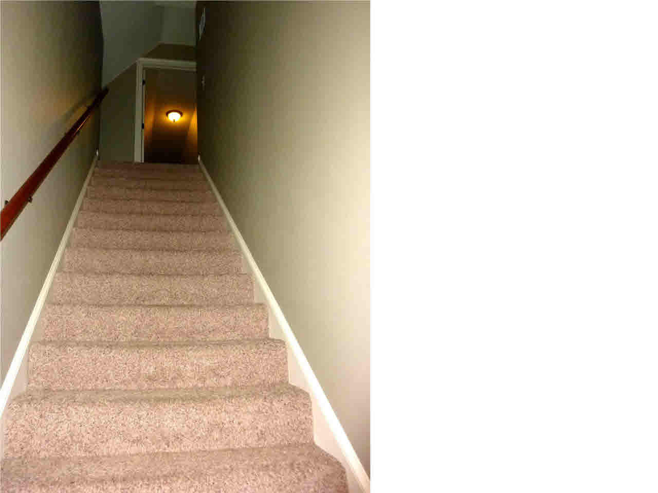 124 Addison Way Canton, MS 39046 - Photo 23 of 34 Stairs to bonus