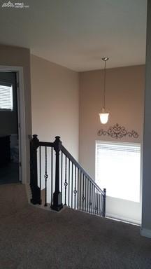 2375 Reed Grass Way Colorado Springs, CO 80915 - Photo 8 of 19