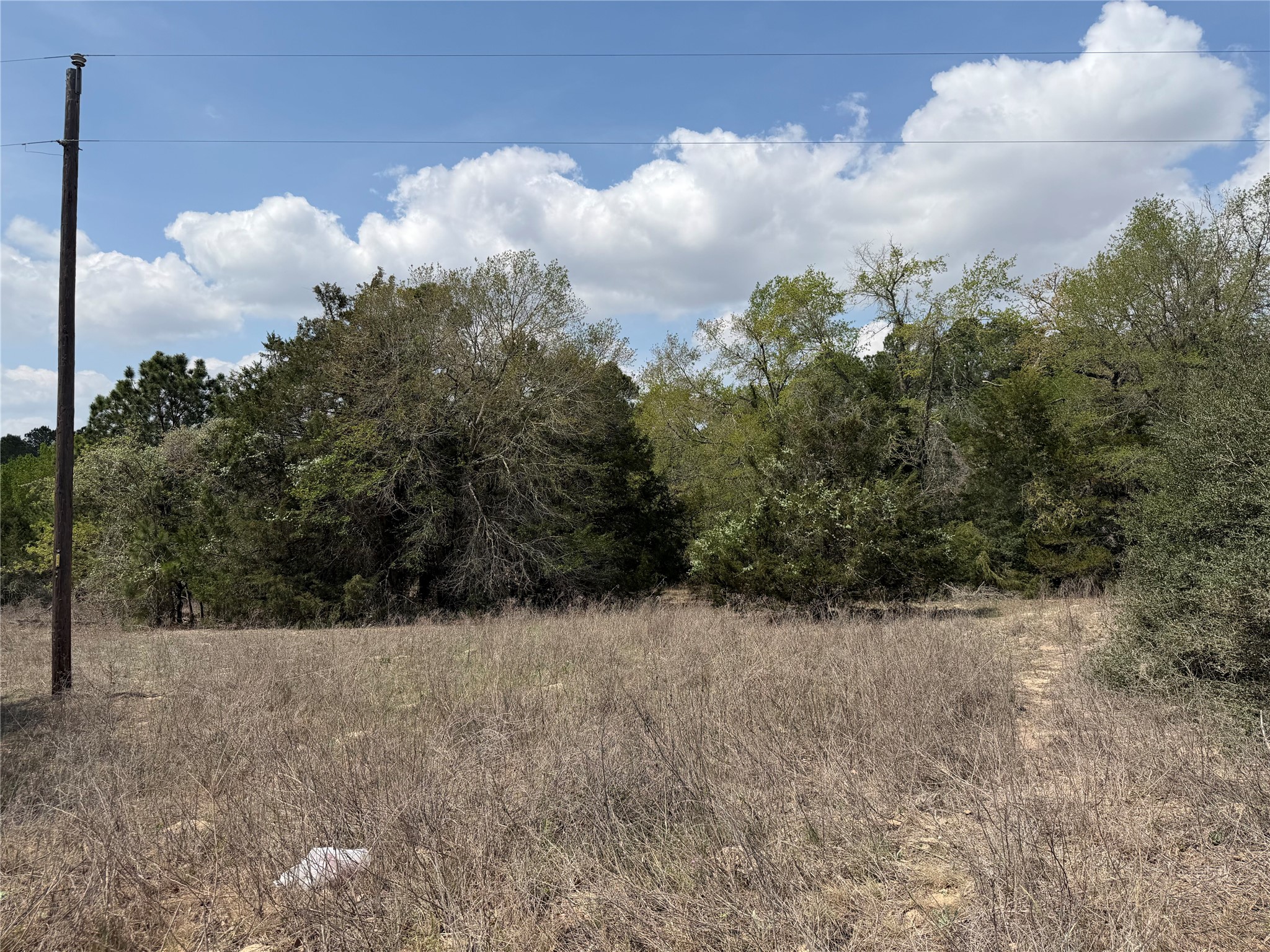 118 Edmonson Ranch Road McDade, TX 78650 - Photo 10 of 16 Electric on site