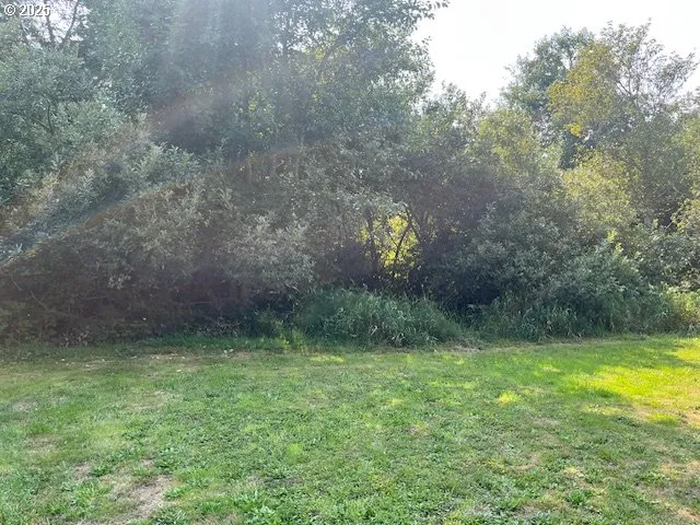 a view of a tiny house with a yard