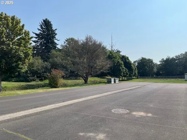 a view of a road with a yard