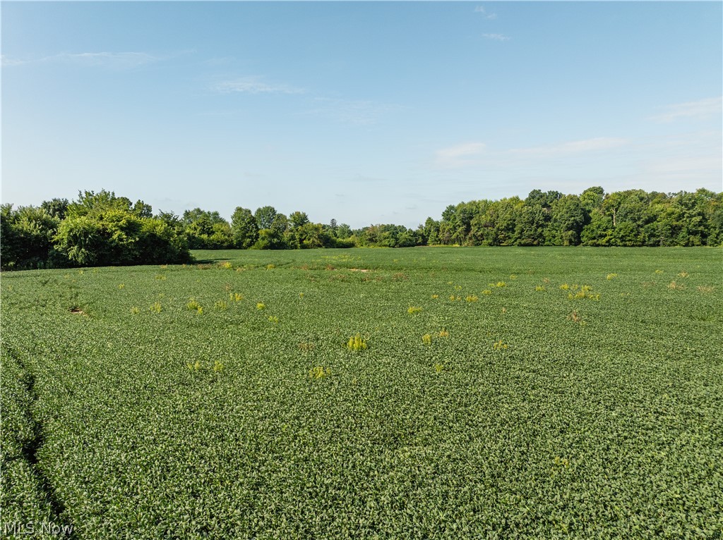 Perry Road Centerburg, OH 43011 - Photo 1 of 3 Gallery Image 1