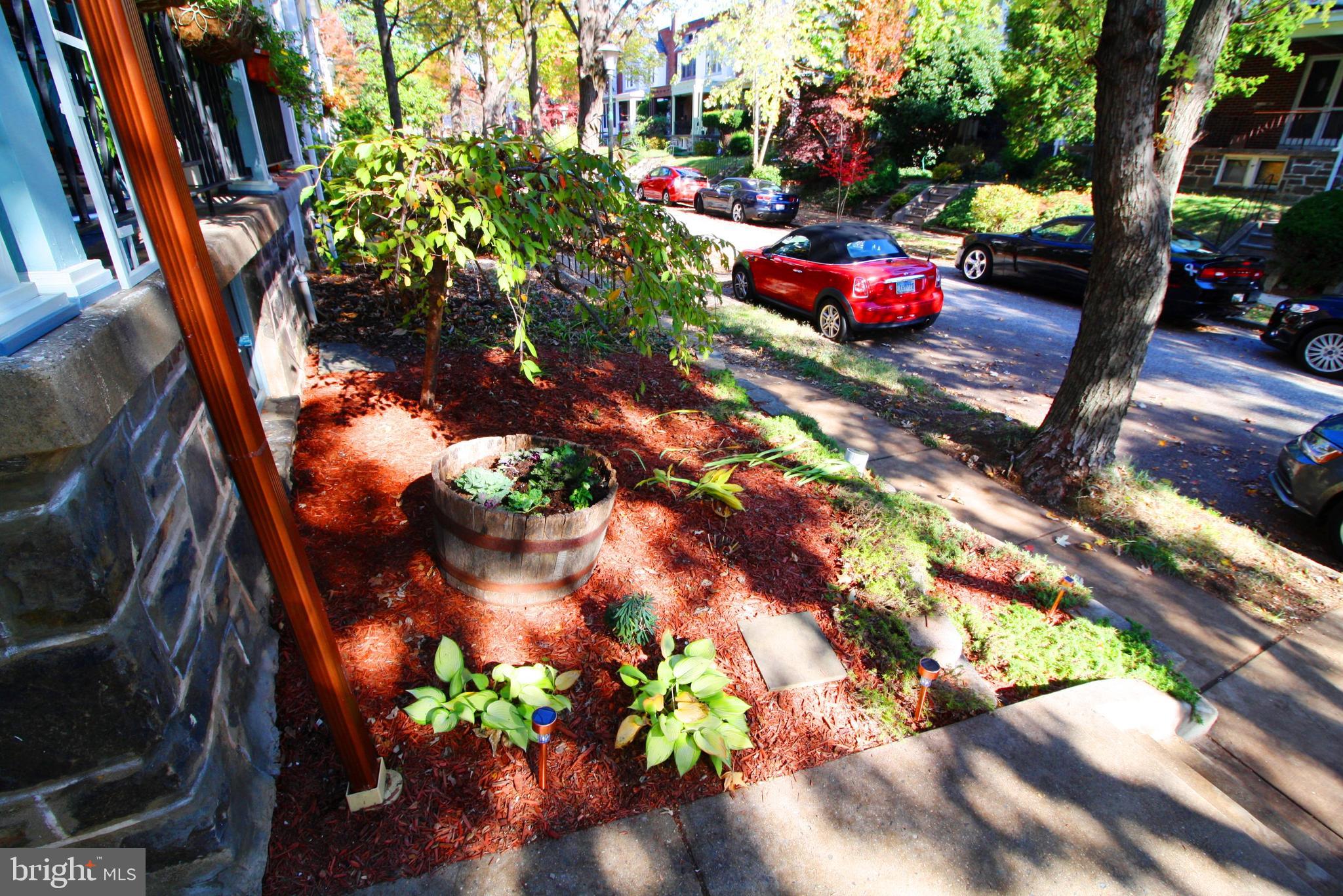 3604 Elkader Road Baltimore, MD 21218 - Photo 5 of 33 Landscaped Garden