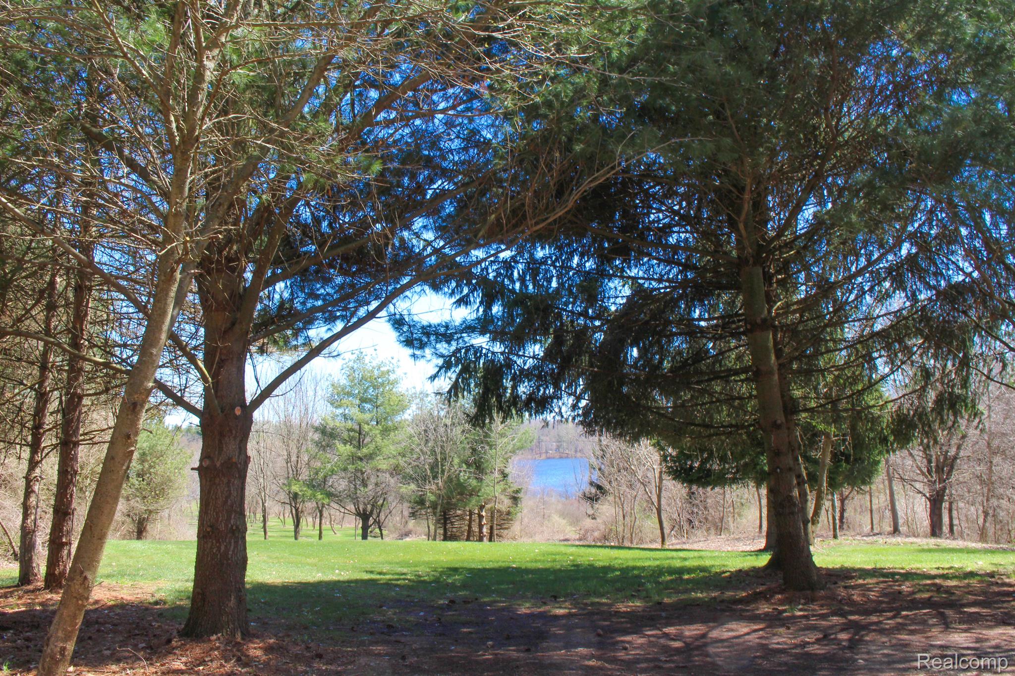 5380 Hagerman Road Leonard, MI 48367 - Photo 11 of 38 Very top of the property looking towards the lake