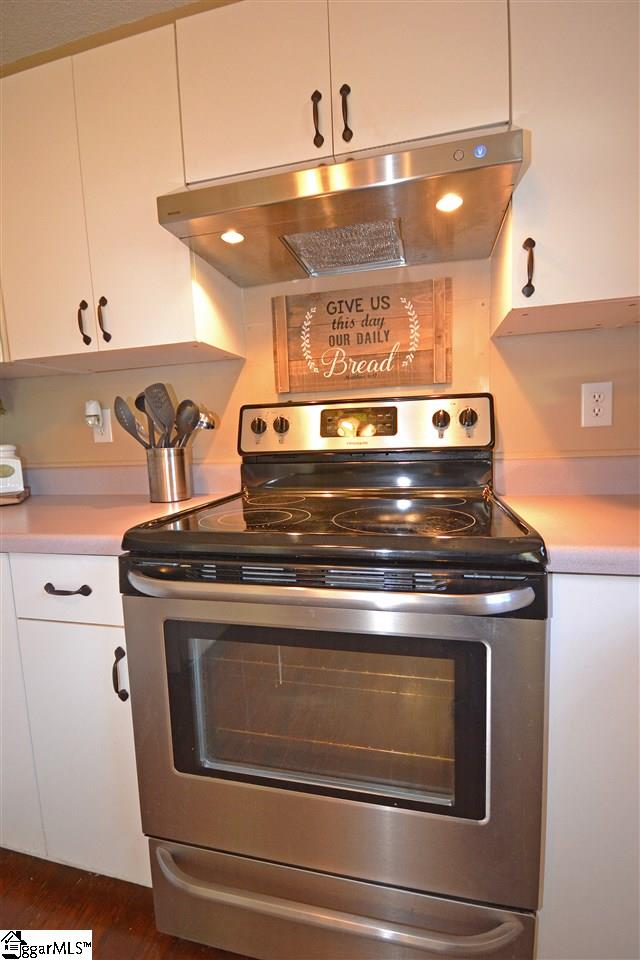 103 Charlie Way Fountain Inn, SC 29644 - Photo 9 of 25 Gallery Image 9