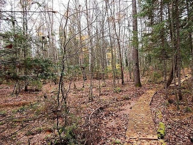 8754 Murphy Lake Road Presque Isle, WI 54557 - Photo 22 of 26 Gallery Image 22