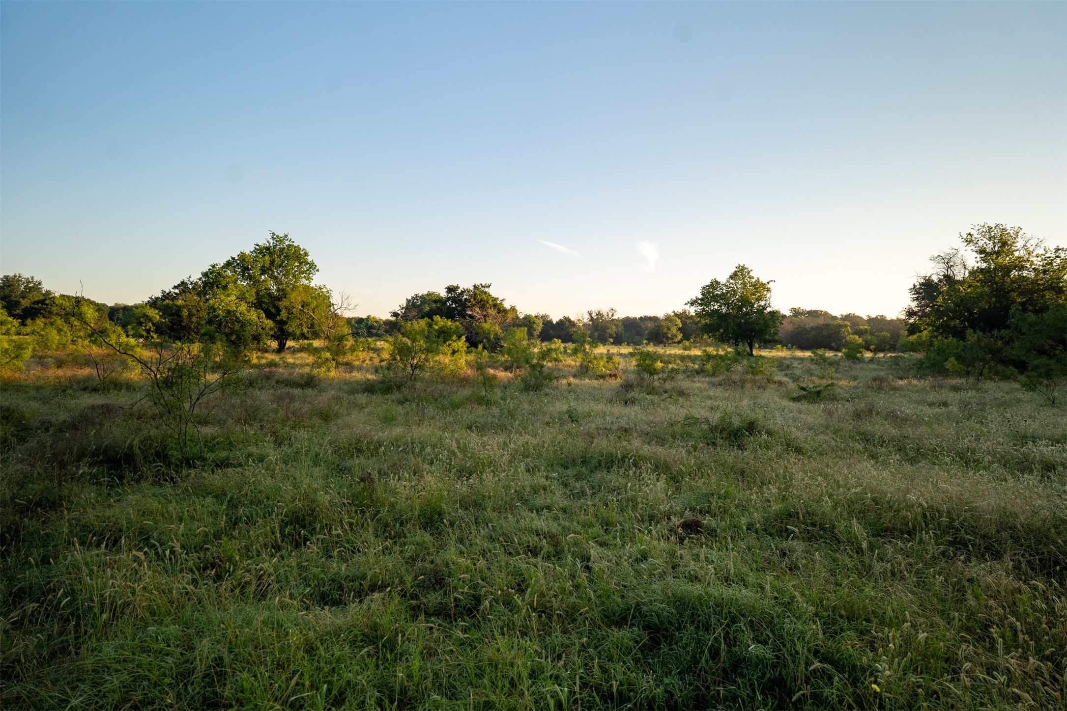 0 Straws Mill Road Gatesville, TX 76528 - Photo 8 of 40