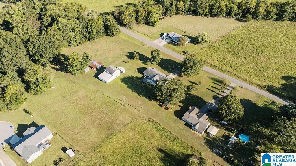 6695 McIntosh Road Oxford, AL 36203 - Photo 46 of 50