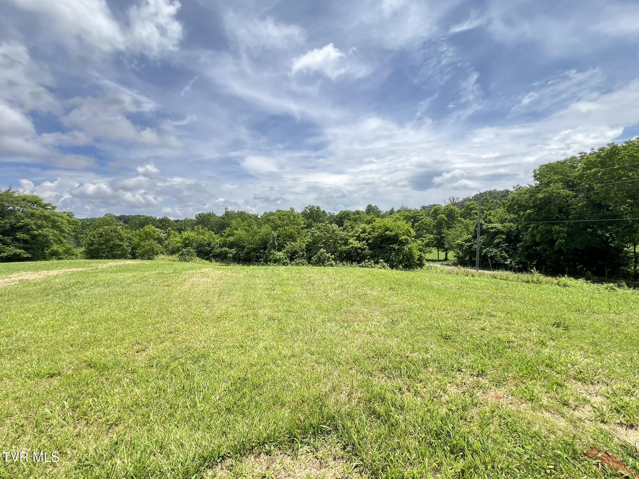 2960 Poplar Springs Road Greeneville, TN 37743 - Photo 48 of 71 IMG_7800