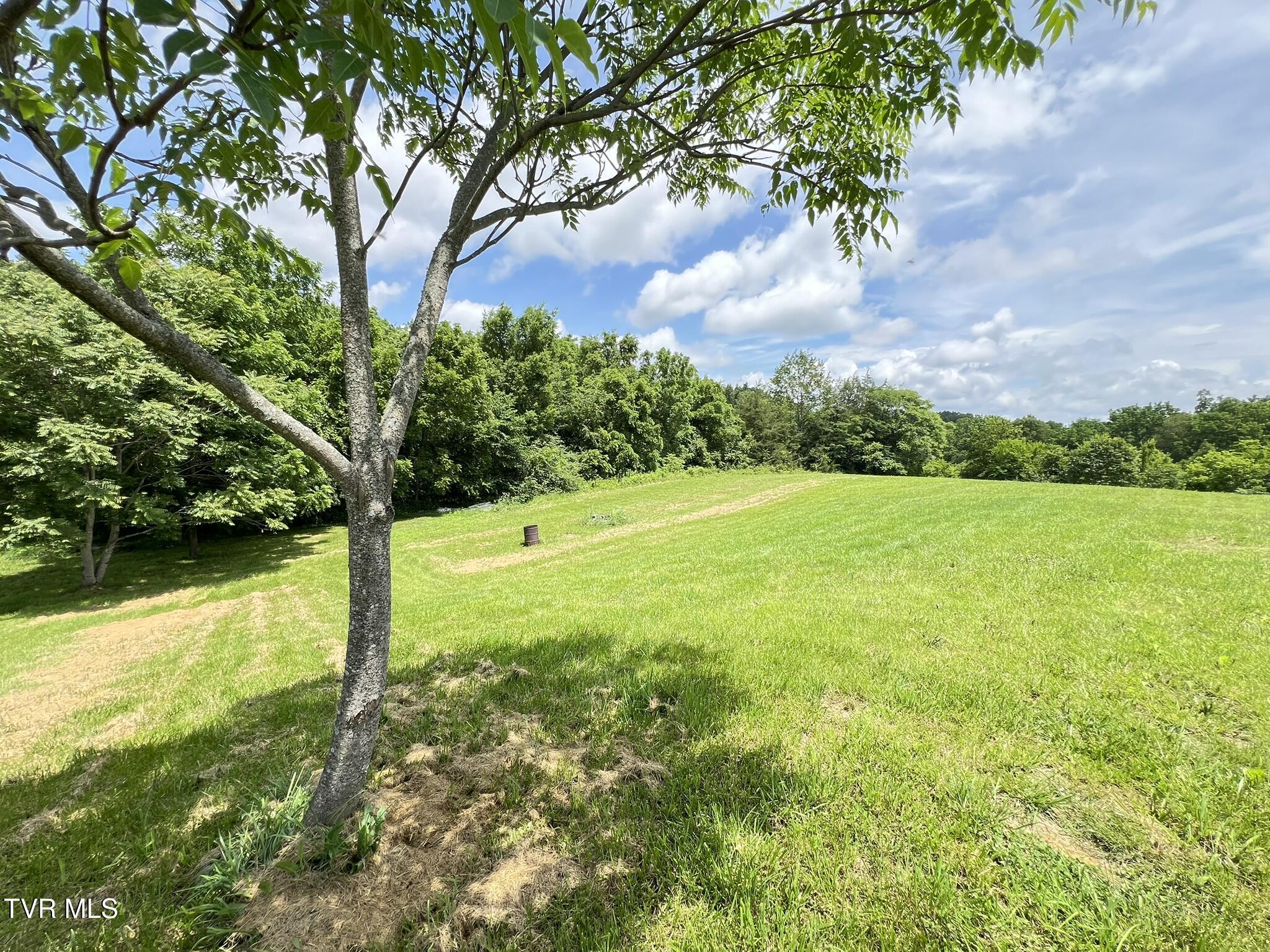 2960 Poplar Springs Road Greeneville, TN 37743 - Photo 53 of 71 IMG_7805