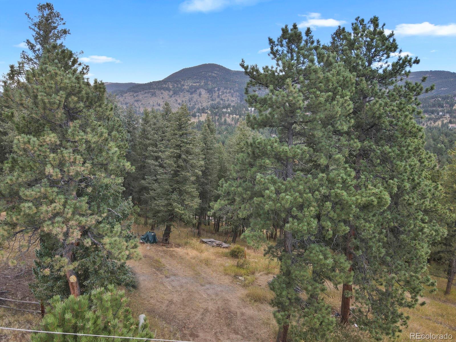 281 Kings Road Evergreen, CO 80439 - Photo 2 of 17 a view of a forest with a mountain in the background
