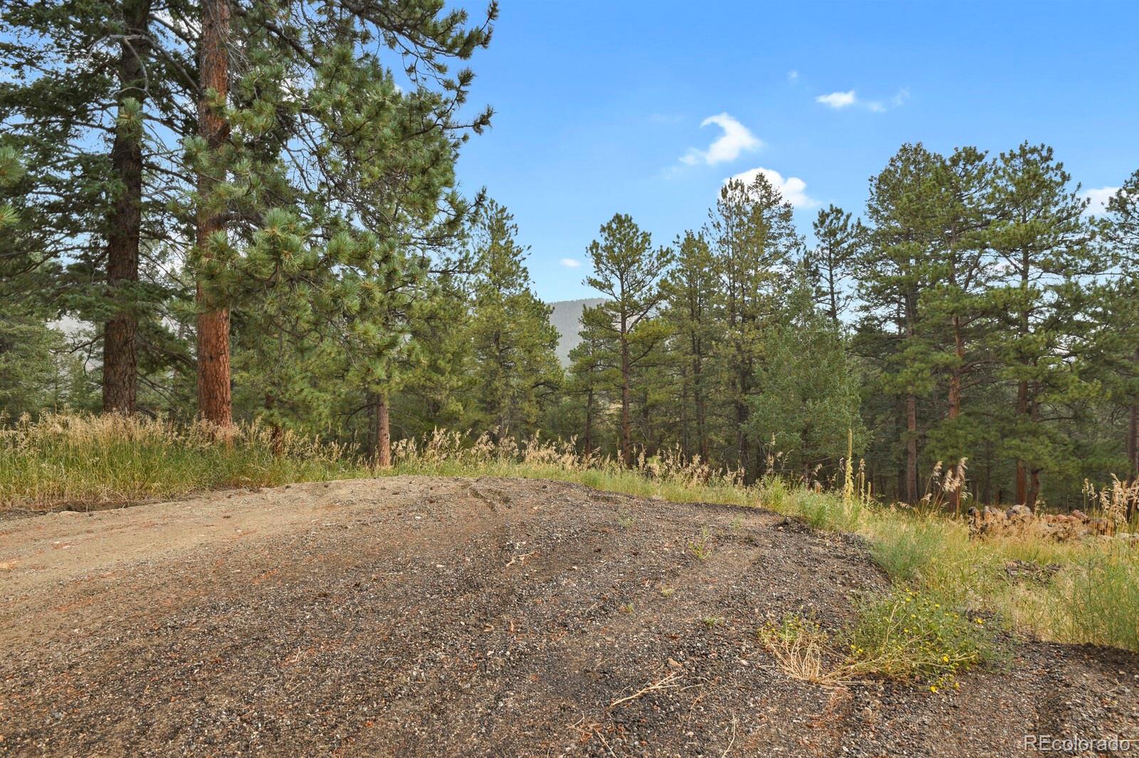 281 Kings Road Evergreen, CO 80439 - Photo 10 of 17 a view of a forest with trees