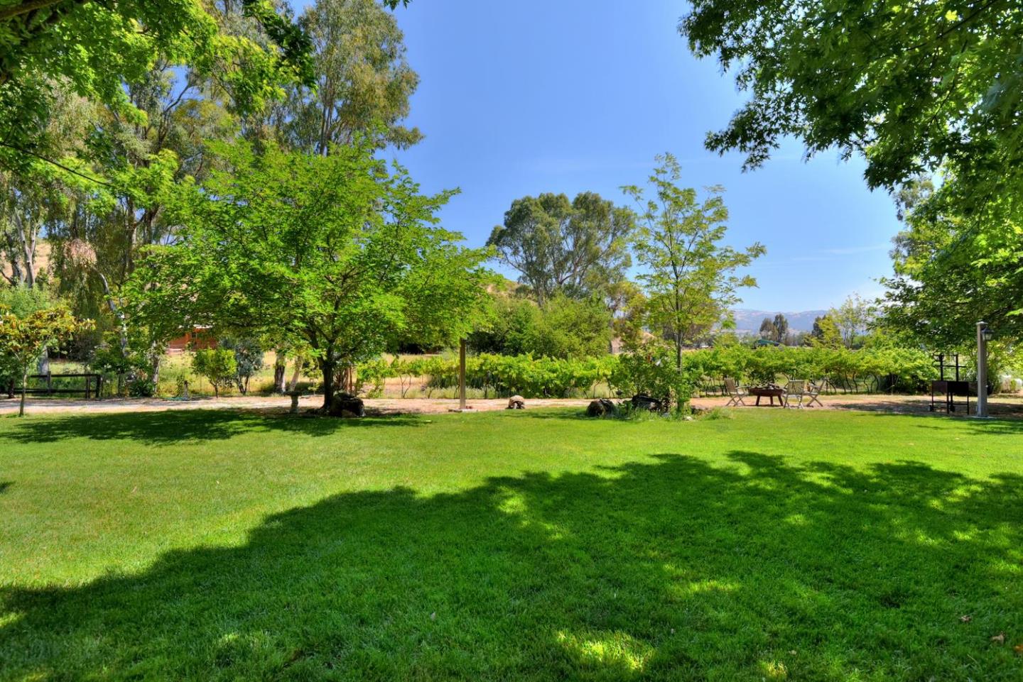 1175 Llagas Road Morgan Hill, CA 95037 - Photo 25 of 37 a view of a field of grass and trees