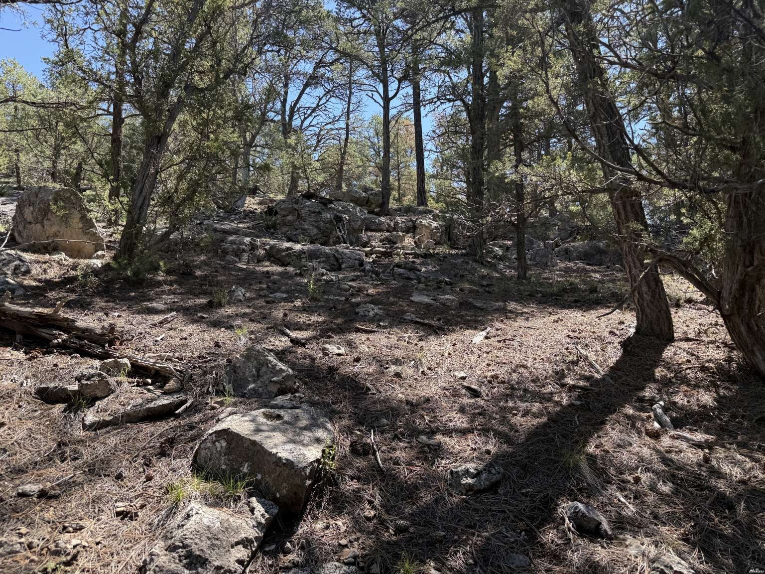 81 Felsic Road Grants, NM 87020 - Photo 5 of 33 Gallery Image 5