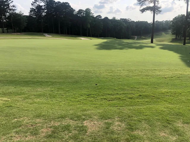 $69,000 | Lot 16 Washington Circle, McCormick, SC 29835