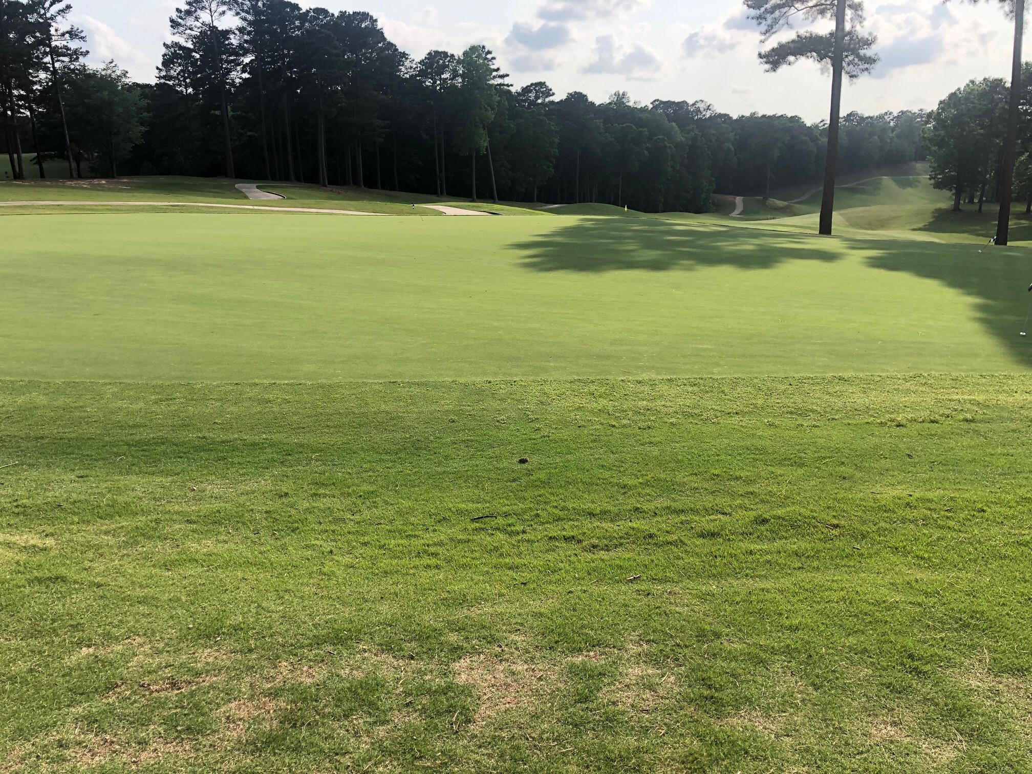 Lot 16 Washington Circle McCormick, SC 29835 - Photo 39 of 57 IMG_2951