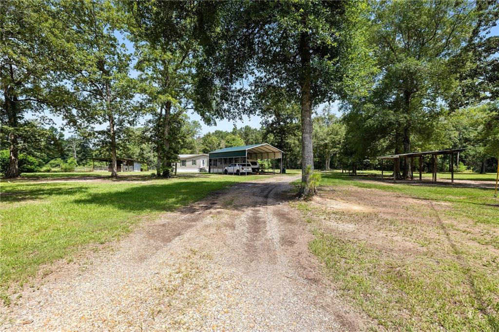 29555 Mary Kinchen Road Independence, LA 70443 - Photo 18 of 22