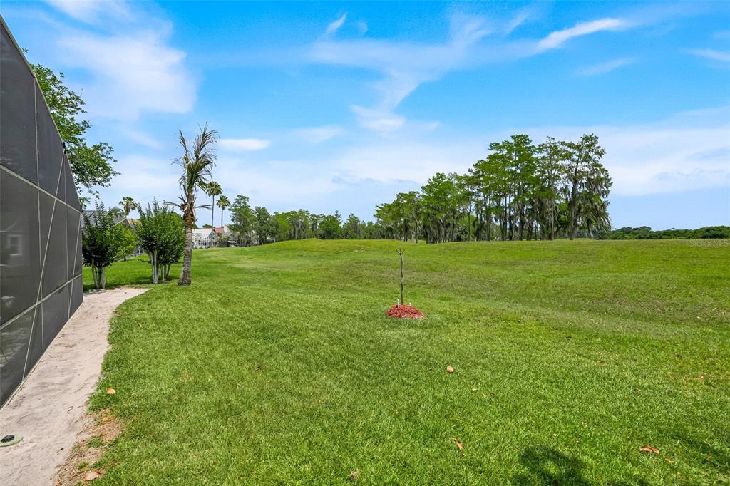 2733 Runyon Circle Orlando, FL 32837 - Photo 56 of 73