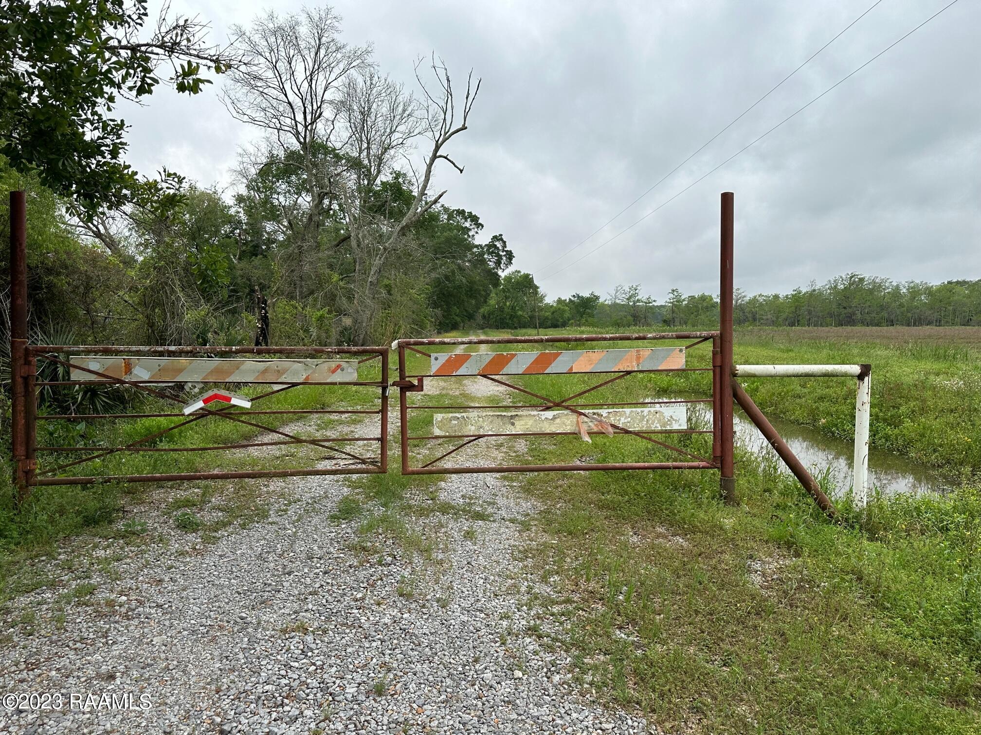 Tba Dove Road Erath, LA 70533 - Photo 9 of 13 Gallery Image 9