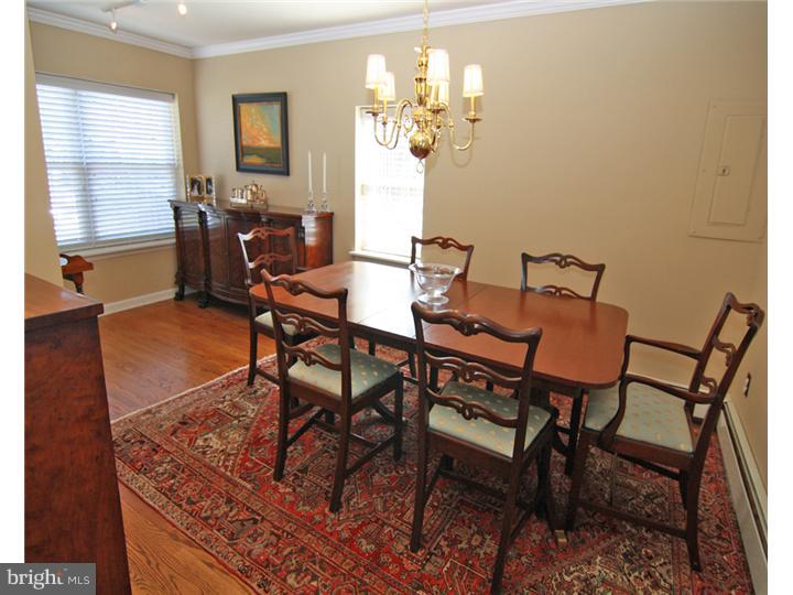 326 Old Forest Road Wynnewood, PA 19096 - Photo 3 of 18 Gallery Image 3