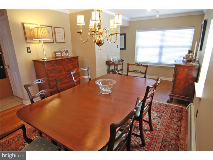 326 Old Forest Road Wynnewood, PA 19096 - Photo 4 of 18 Gallery Image 4