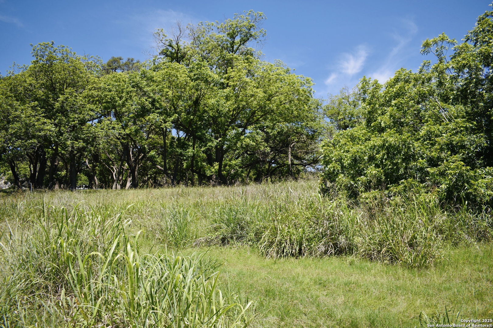 Lot 53 Clearwater Canyon Road Bandera, TX 78003 - Photo 16 of 25 a view of a yard