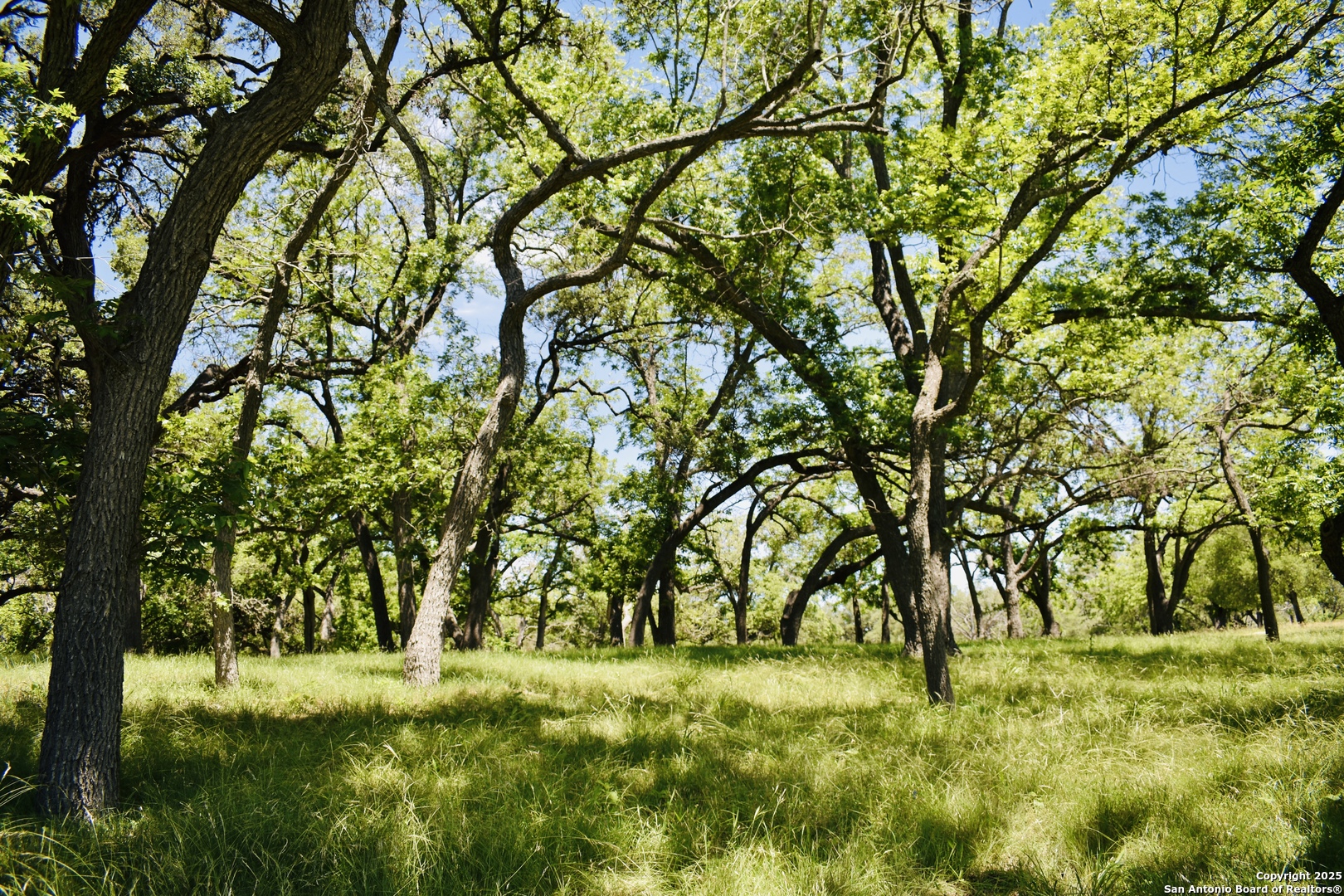 Lot 53 Clearwater Canyon Road Bandera, TX 78003 - Photo 17 of 25 a backyard of a house with a yard and large trees