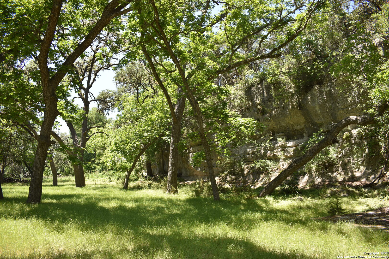 Lot 53 Clearwater Canyon Road Bandera, TX 78003 - Photo 21 of 25 a backyard of a house with a yard and large trees