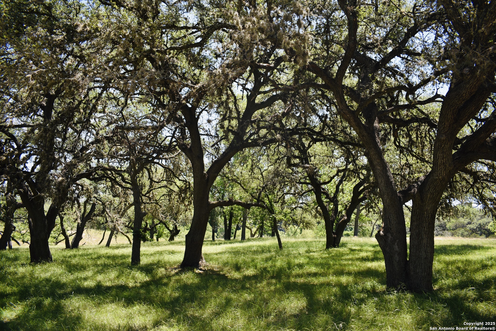Lot 53 Clearwater Canyon Road Bandera, TX 78003 - Photo 22 of 25 a view of yard with trees