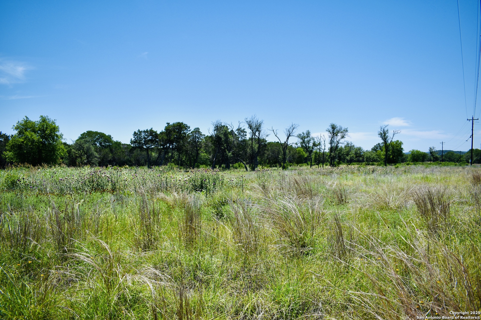 Lot 53 Clearwater Canyon Road Bandera, TX 78003 - Photo 5 of 25 a view of a garden