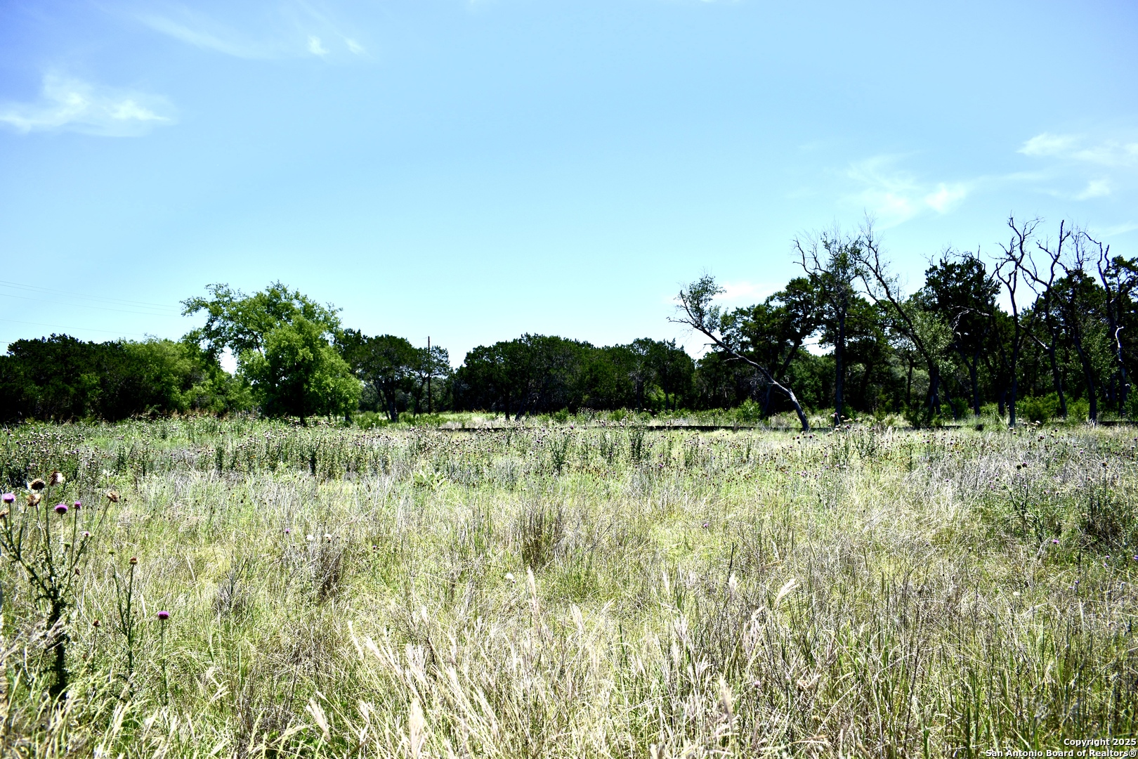 Lot 53 Clearwater Canyon Road Bandera, TX 78003 - Photo 10 of 25 a view of a yard