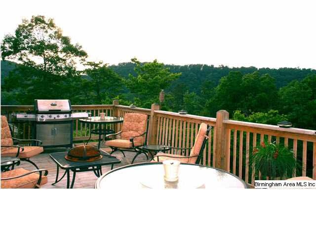 179 Dorr Road Oneonta, AL 35121 - Photo 5 of 21
