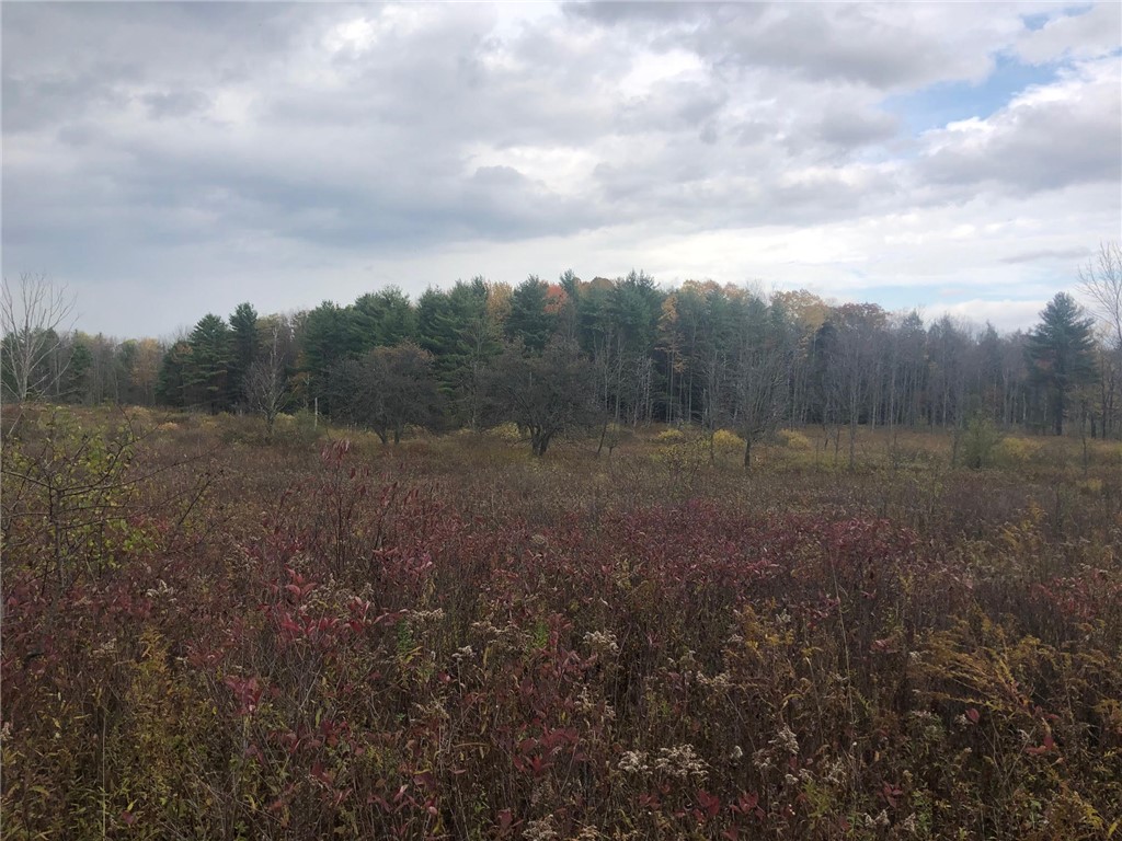 0 Spring St Extension Groton, NY 13073 - Photo 1 of 1 Gallery Image 1