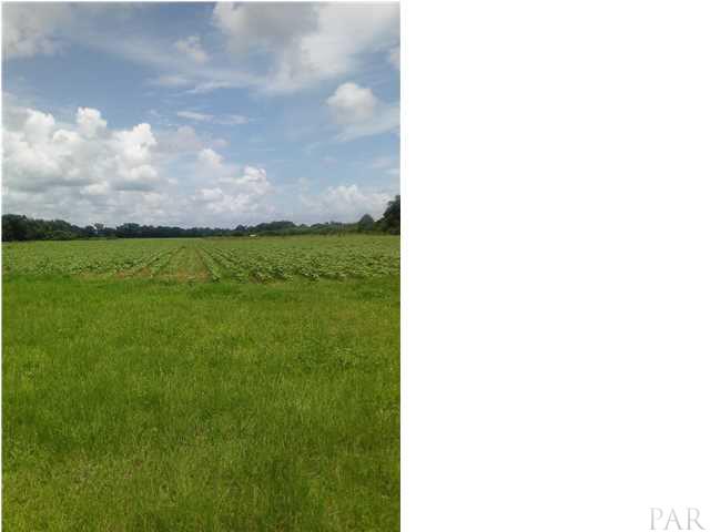 1000 Sutton Allen Road Jay, FL 32565 - Photo 1 of 1 Gallery Image 1