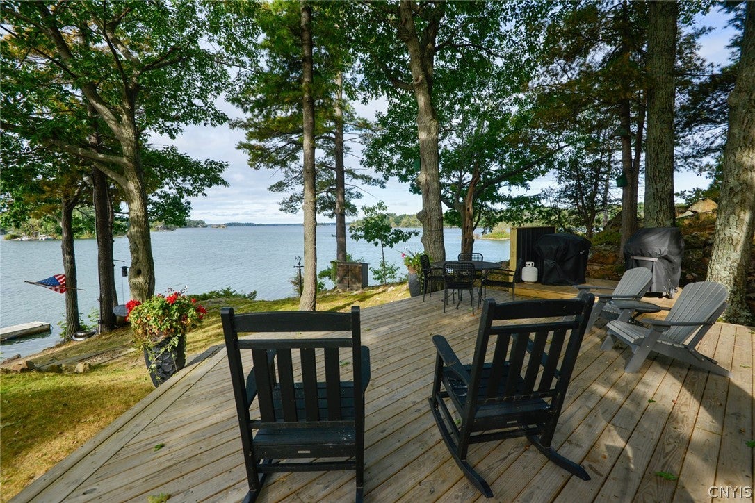 1 South Mink Island Hammond, NY 13646 - Photo 4 of 41 Gallery Image 4