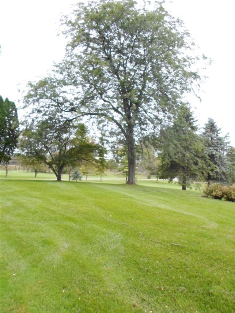 7547 East Monroe Road Britton, MI 49229 - Photo 3 of 10 Photo 3