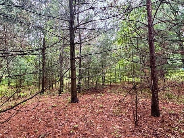 1.03-acres County Rd X Schofield, WI 54476 - Photo 8 of 10