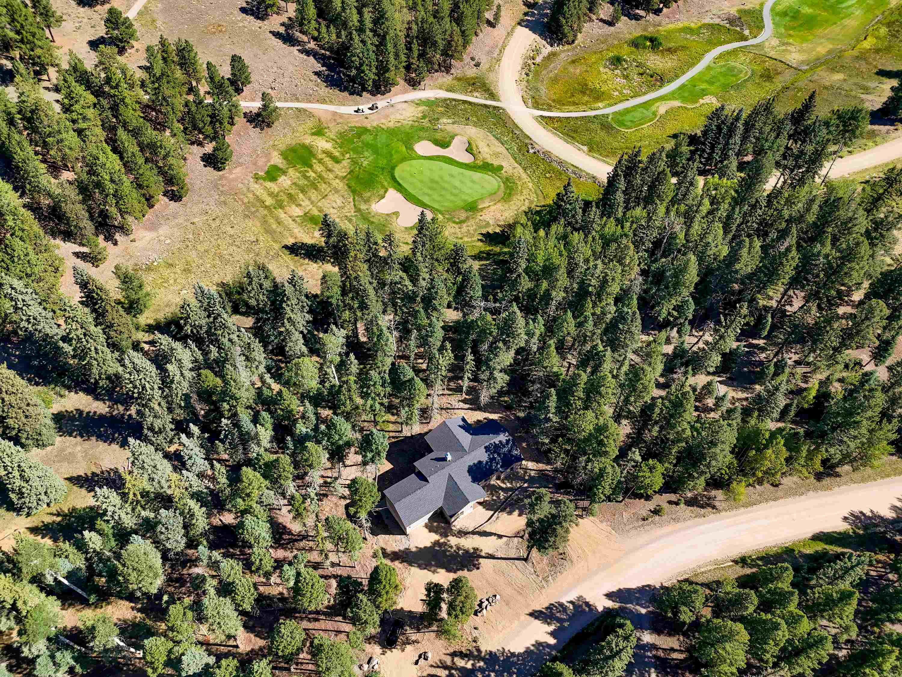 122 Via Del Rey Angel Fire, NM 87710 - Photo 2 of 42 Gallery Image 2