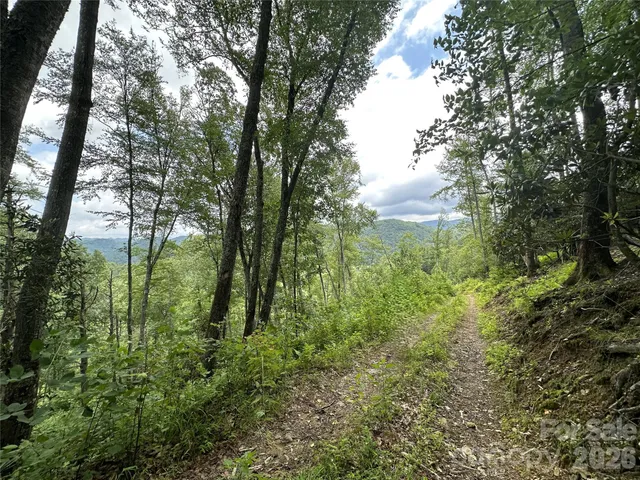 a view of a yard with an outdoor space
