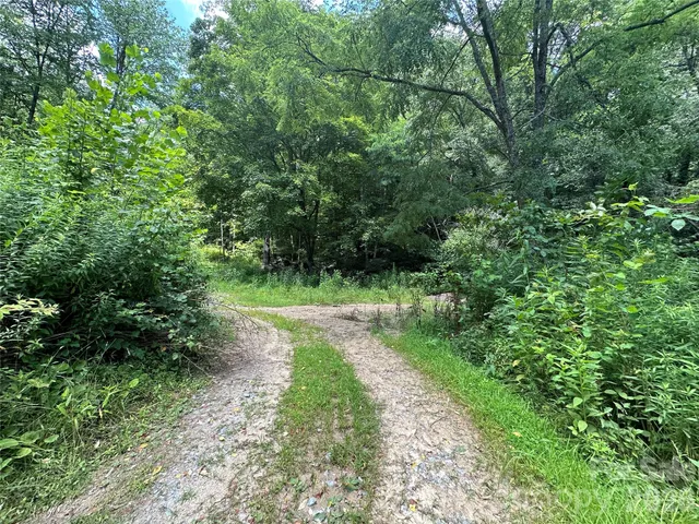 a big yard with lots of green space and deers
