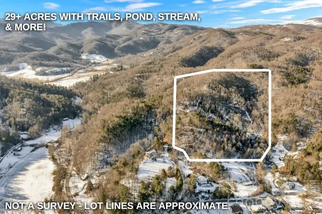 a view of a yard of a house