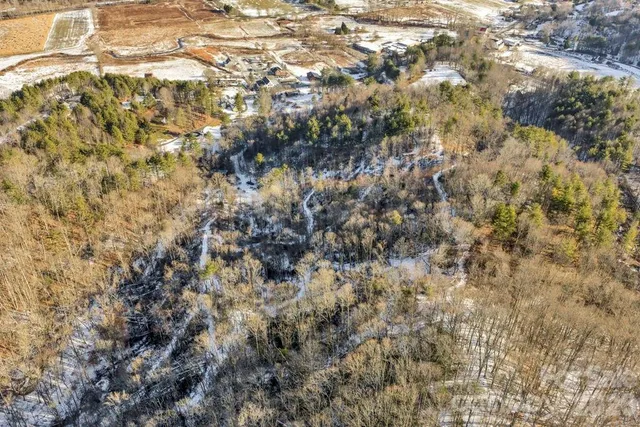 a view of a pathway both side of yard