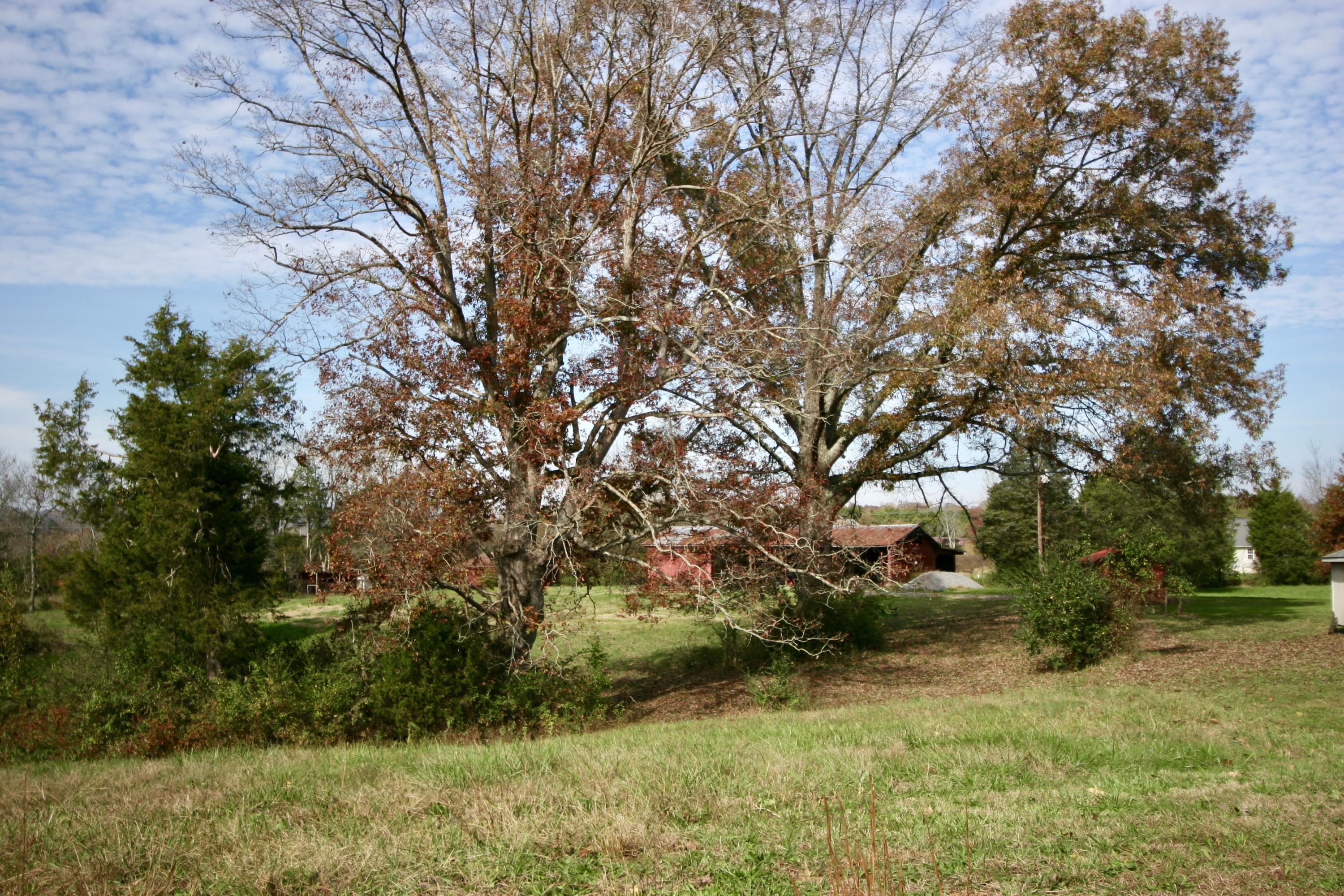 122 Coleman Road Madisonville, TN 37354 - Photo 31 of 40 fullsizeoutput_a4d