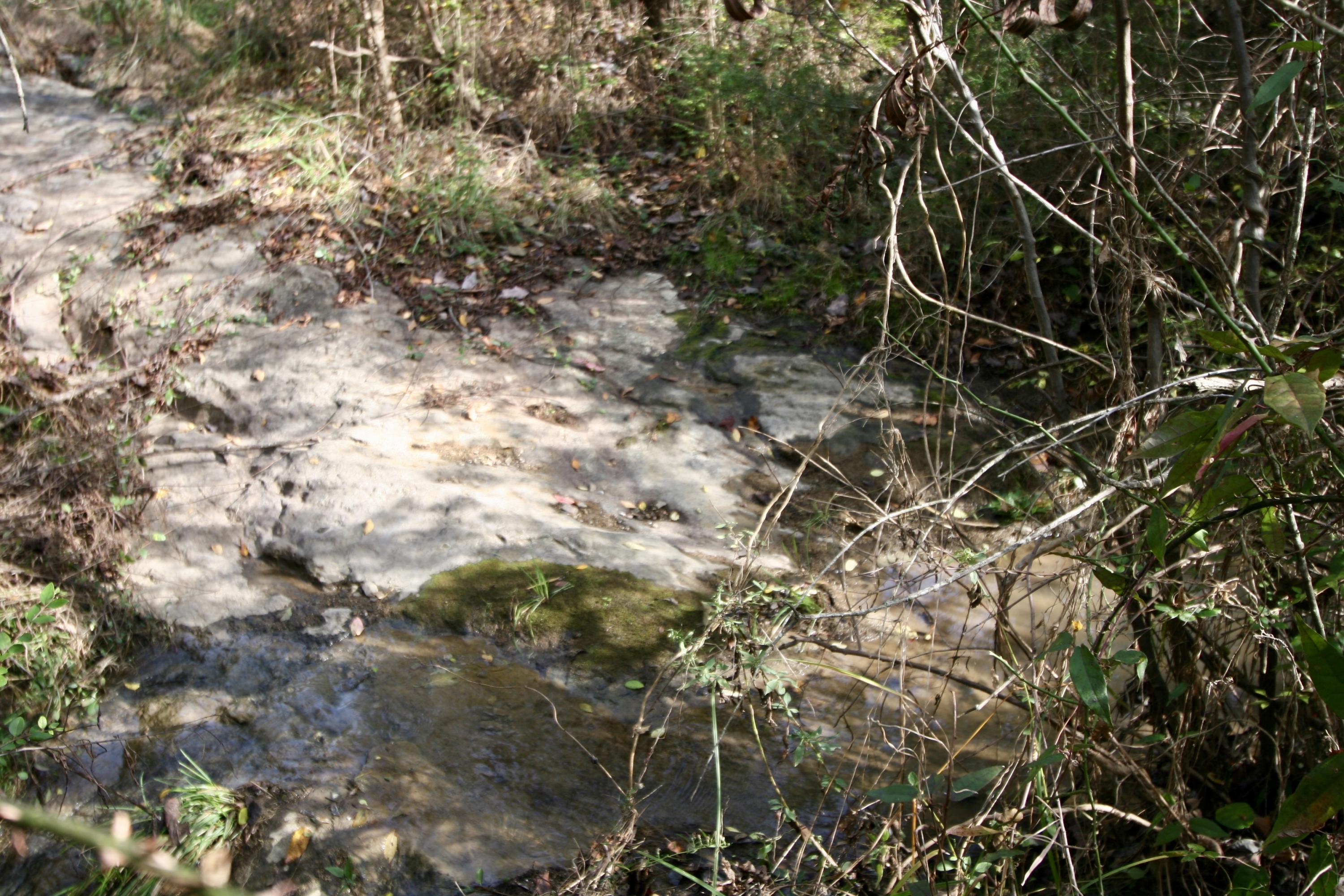 122 Coleman Road Madisonville, TN 37354 - Photo 34 of 40 fullsizeoutput_a52