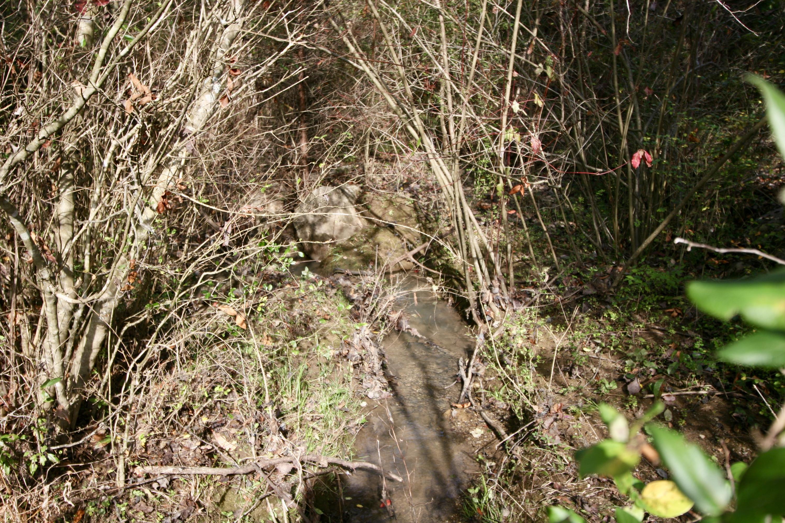 122 Coleman Road Madisonville, TN 37354 - Photo 35 of 40 fullsizeoutput_a53