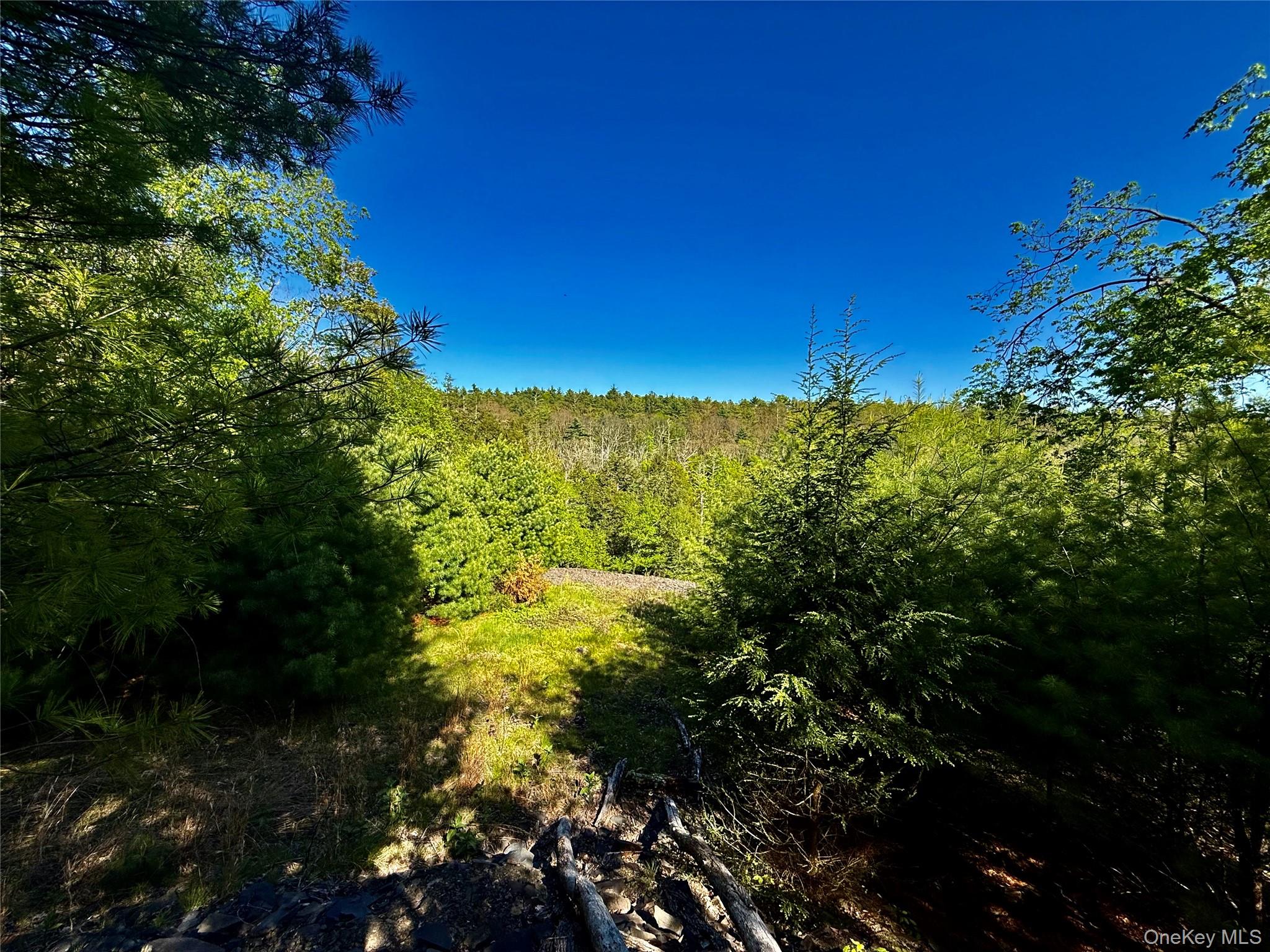 101 Stone Road Hurley, NY 12491 - Photo 3 of 24