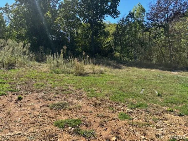 $45,000 | 513 West Mineral Street, De Soto, MO 63020