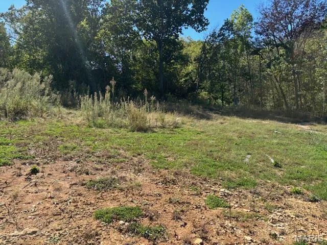 $57,000 | 513 West Mineral Street, De Soto, MO 63020